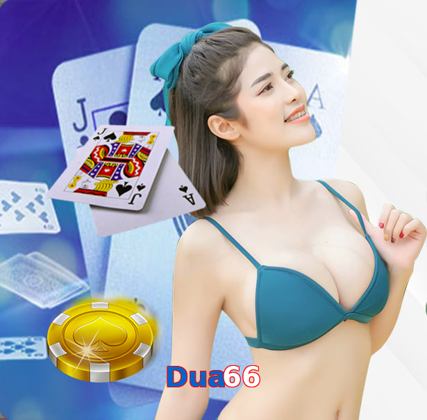 Dua66